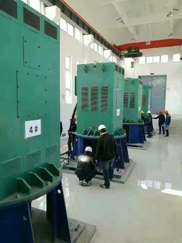 甘井子某污水处理厂使用我厂的立式高压电机安装现场